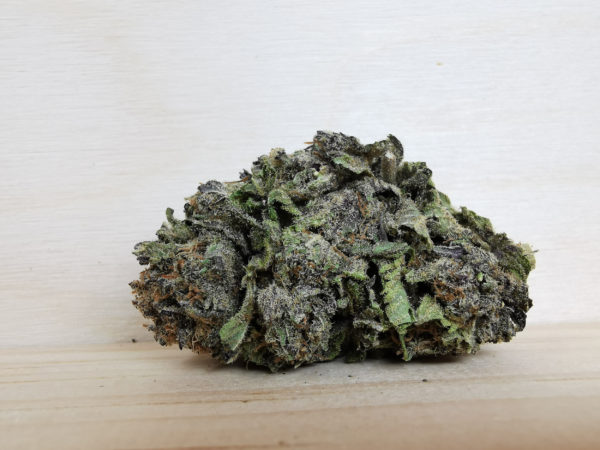 Purple Mendocino
