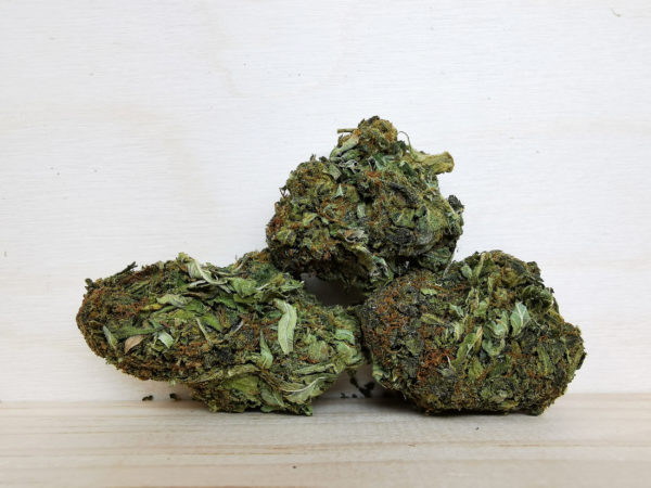Dawg Breath