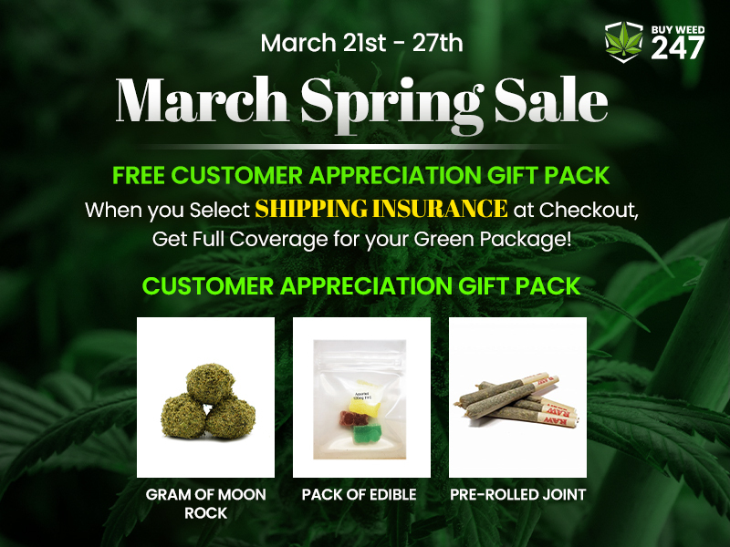 Buy Weed Online, BuyWeed247
