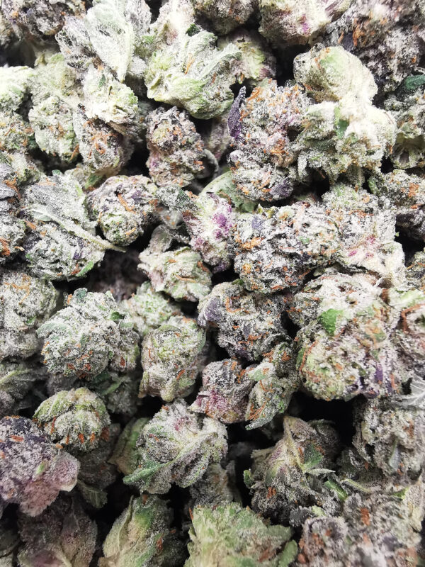 Green Valley's AAAA+ Island Pink Smalls - Image 4
