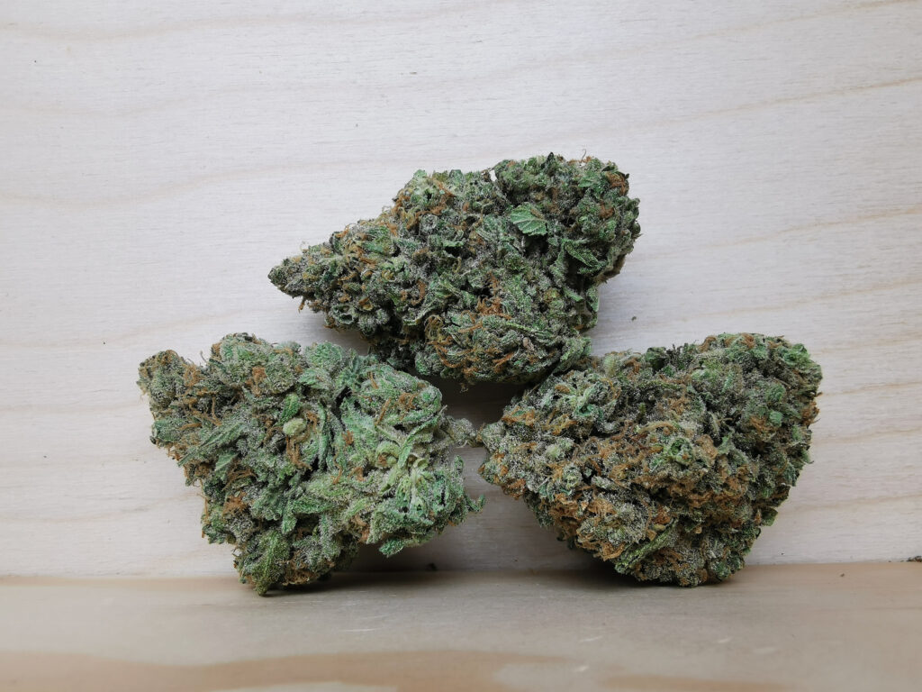Buy Cheap Weed Online Dispensary in Comox Wholesale, BuyWeed247