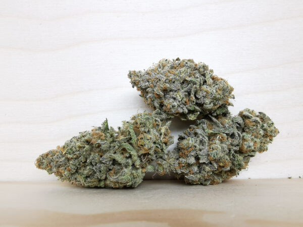 Tahoe Alien
