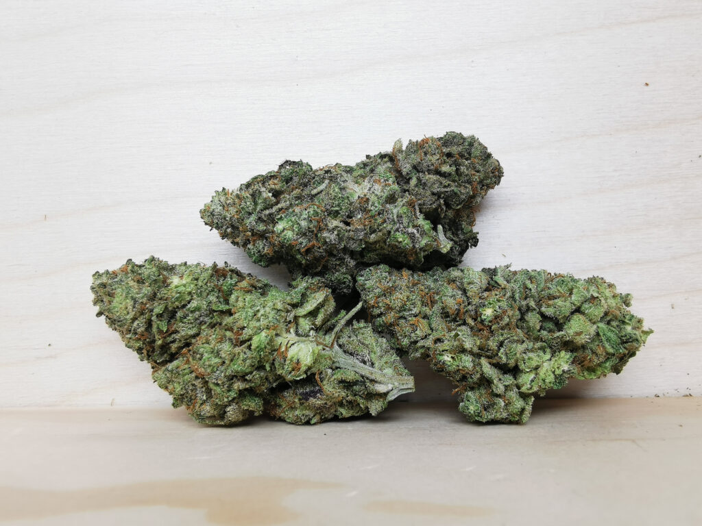 Buy Cheap Weed Online Dispensary in Comox Wholesale, BuyWeed247