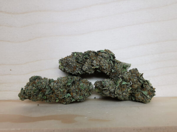 hash plant