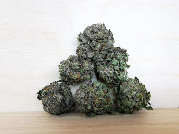 sensi star