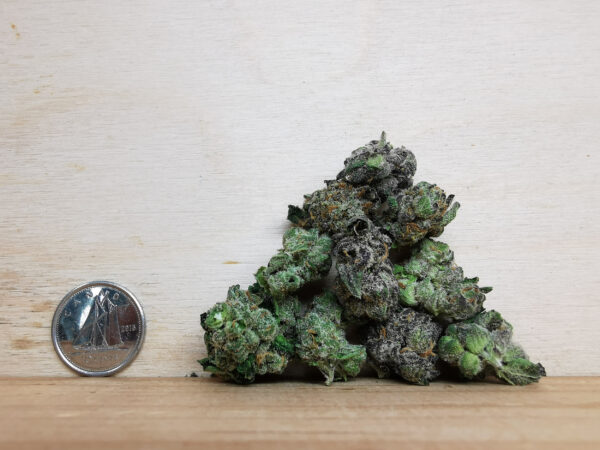Bulk-Sale AAAA Sunset Sherbert Smalls - Image 2