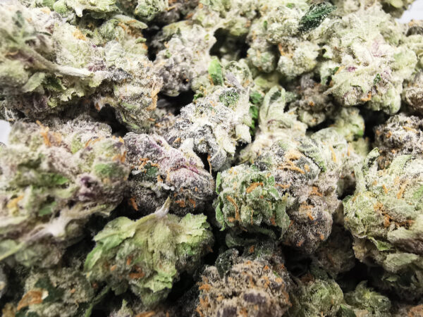 Bulk-Sale AAAA Sunset Sherbert Smalls - Image 4