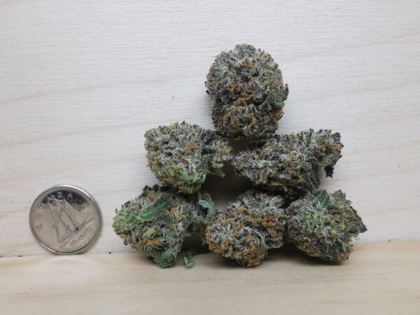 moon berry