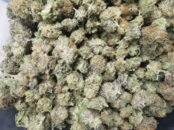 AAAA Moon Berry Smalls - Image 2