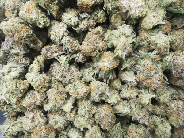 AAAA Moon Berry Smalls - Image 3