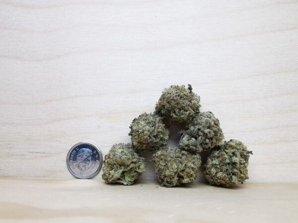 AAAA+ The Menthol Med. - Image 2