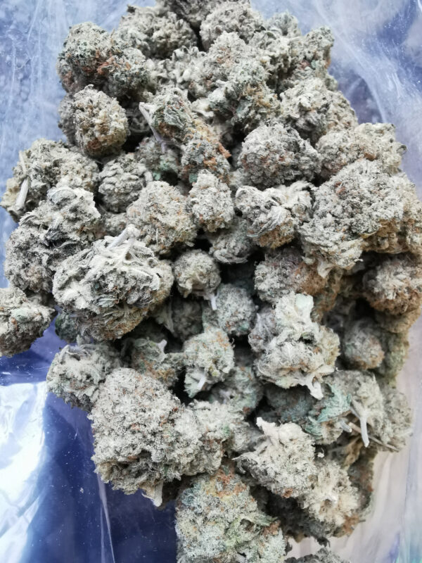 AAAA+ The Menthol Med. - Image 4
