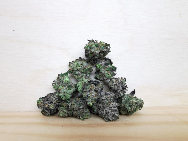 Black Truffle