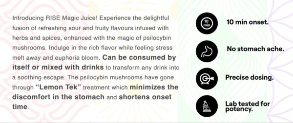 RISE's Magic Juice Syringe, Concentrated Psilocybin Mushroom Syrup 1000mg - Image 3