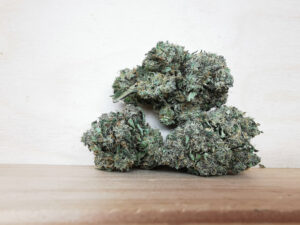 Best Sativa Weed Strains in Canada 2021, BuyWeed247