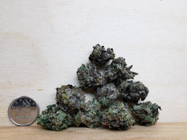 Green Valley's AAAA Black Bubba Smalls - Image 2