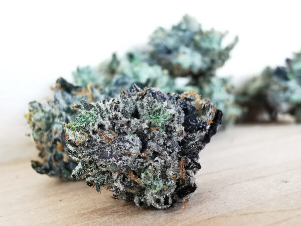 Green Valley's AAAA Black Bubba Smalls - Image 4