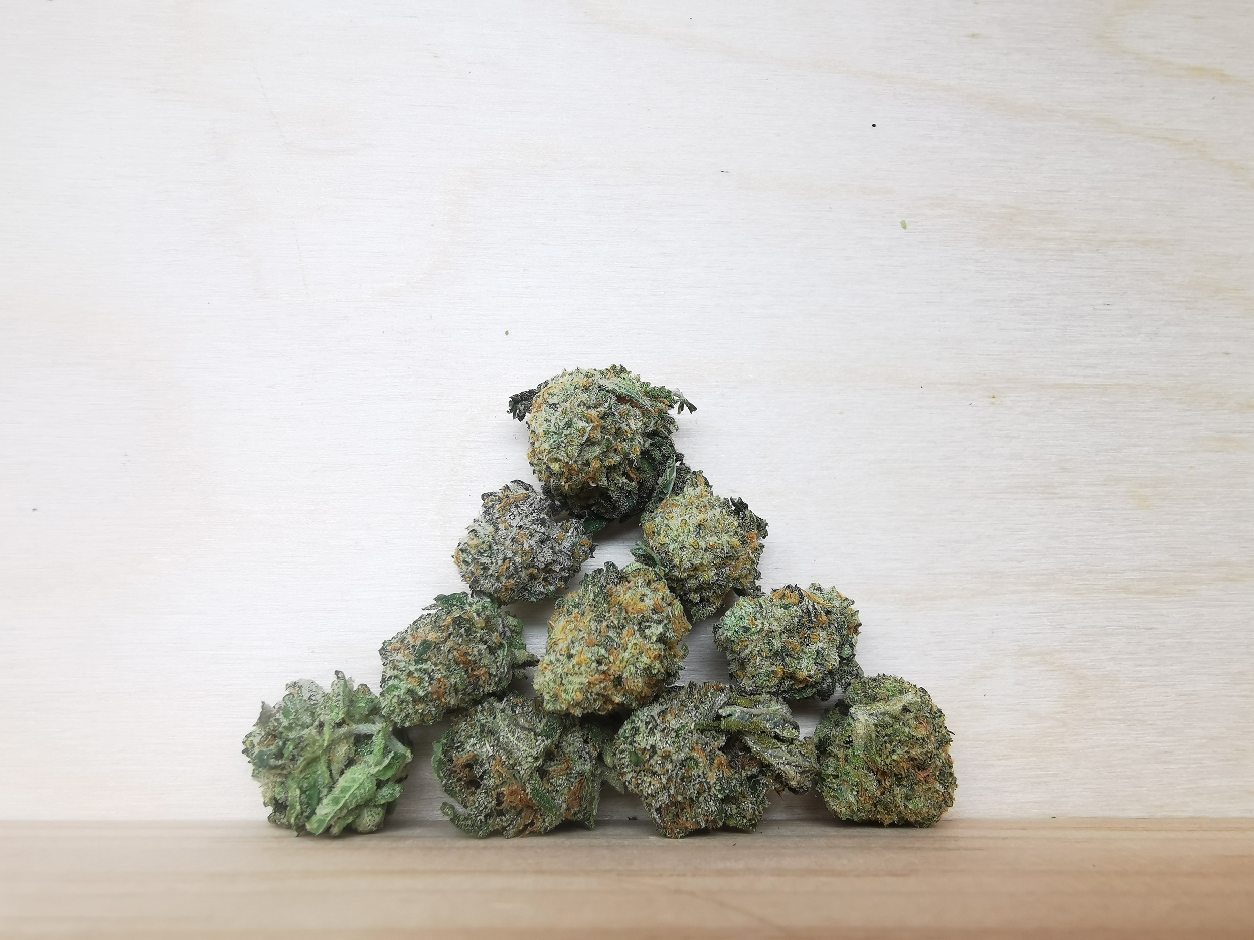 img_20240821_152422_2500 Black Domina