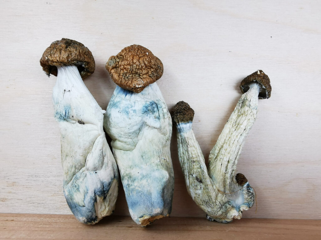 Buy Weed Online, BuyWeed247