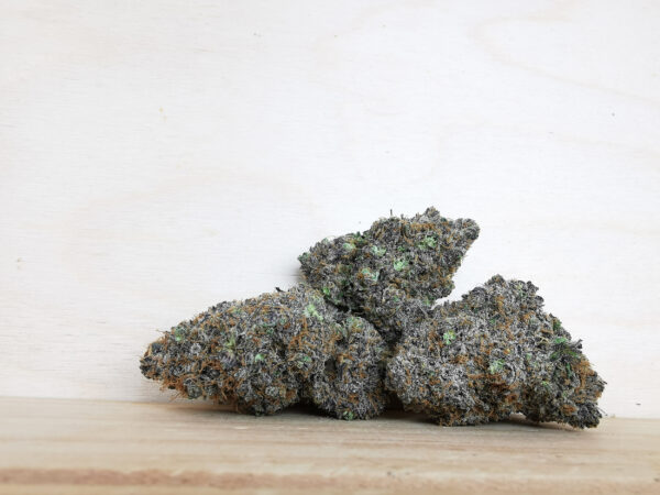 gelato