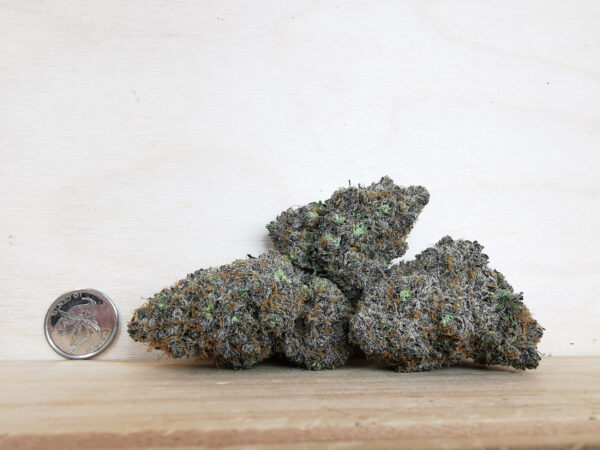 Green Valley's AAAA+ Gelato# 33 - Image 2