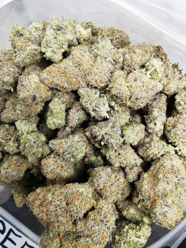 Green Valley's AAAA+ Gelato# 33 - Image 3
