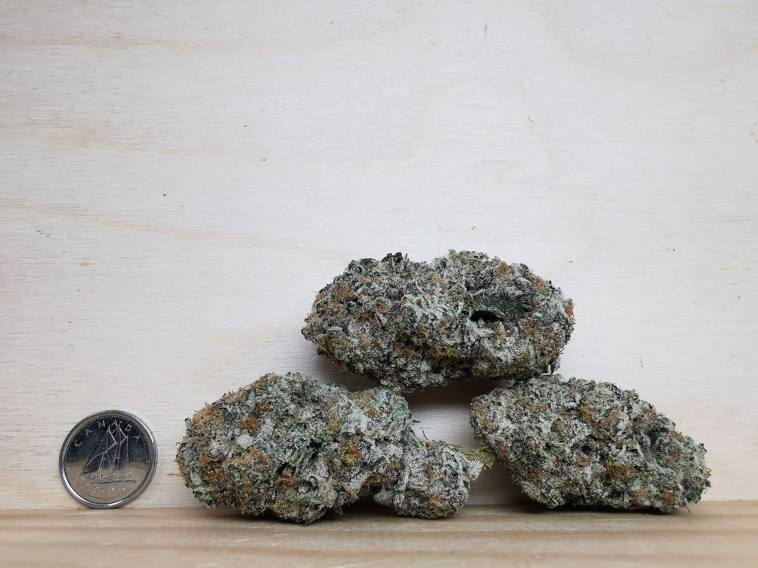 IMG_20251015_170307 Green Valley's AAAA+ Oreo Big Stuff - Image 2