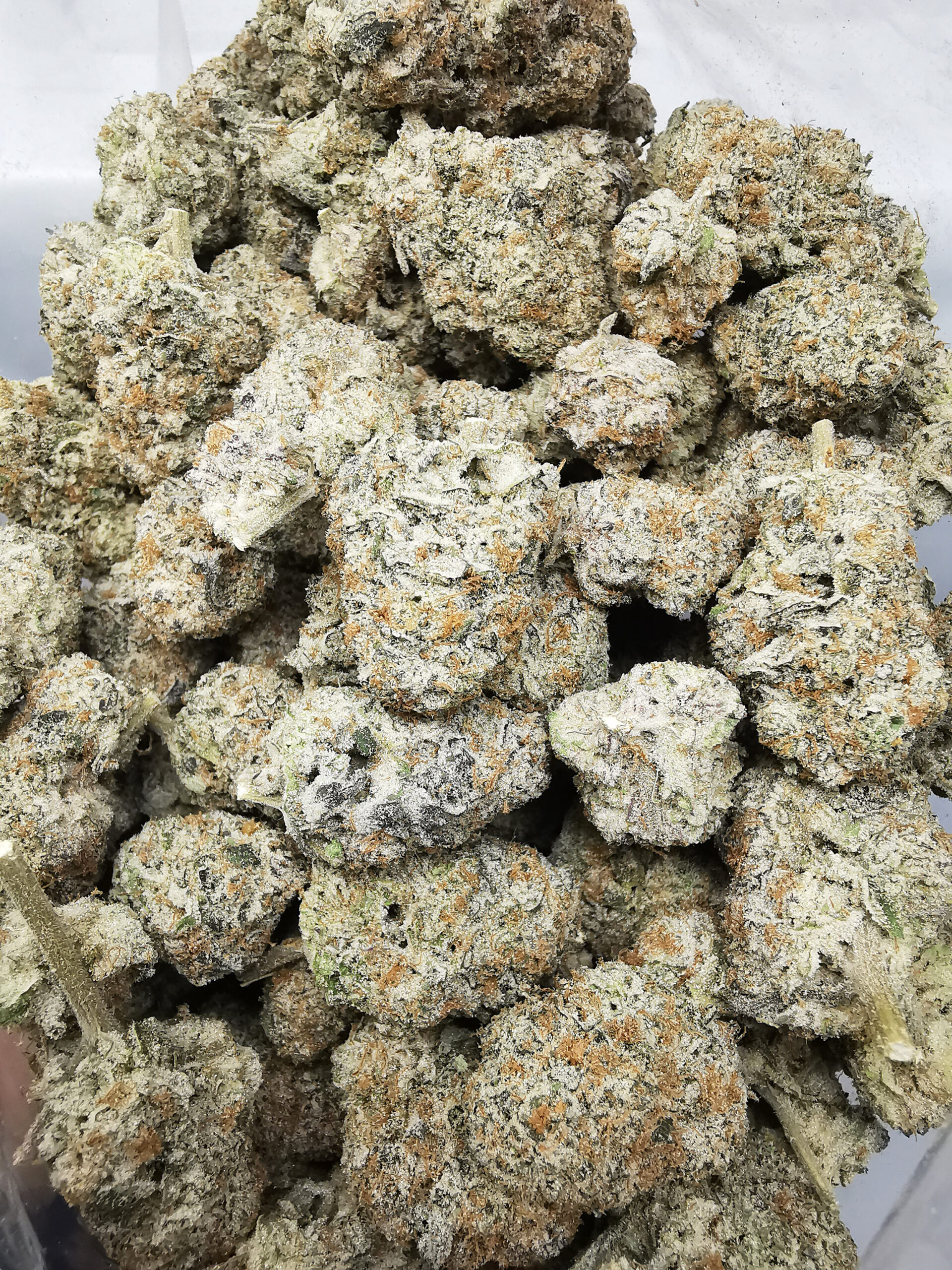 IMG_20251015_170357 Green Valley's AAAA+ Oreo Big Stuff - Image 3