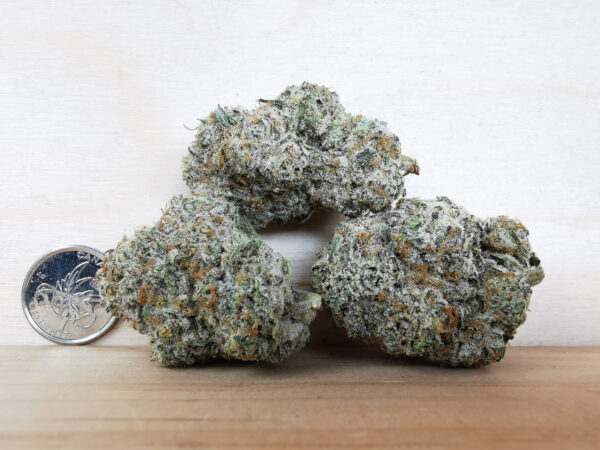 Green Valley's AAAA+ Pink Oreoz - Image 2