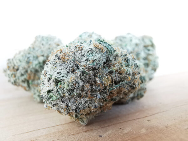 Green Valley's AAAA+ Pink Oreoz - Image 3