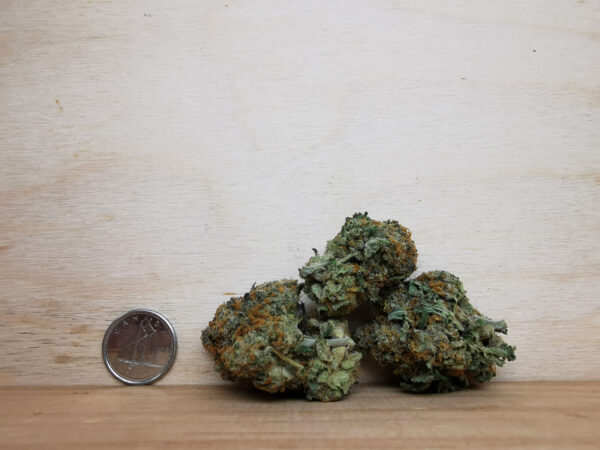 AAAA Acapulco Gold - Image 2