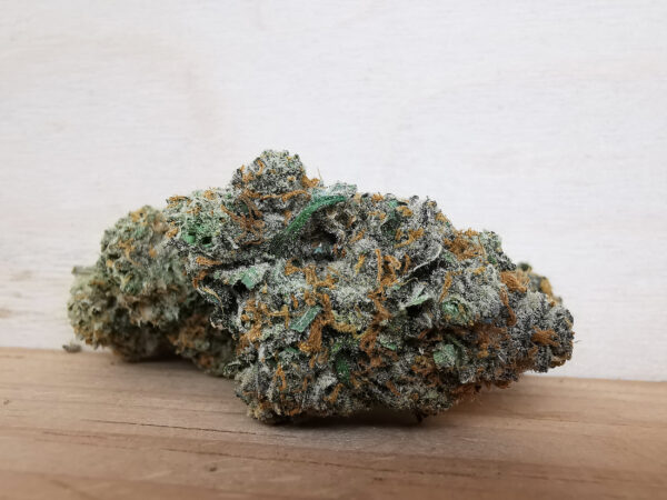 AAAA Acapulco Gold - Image 3