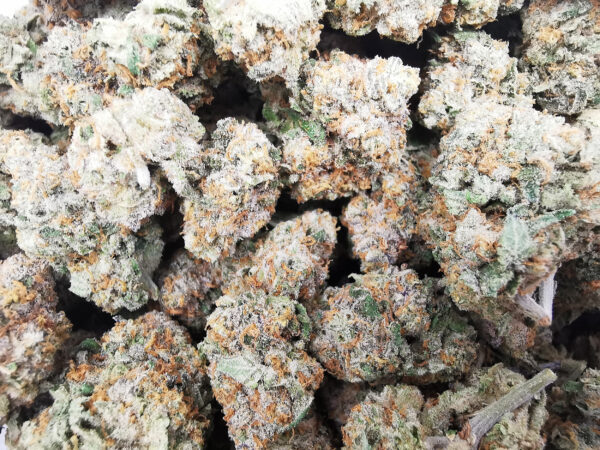 AAAA Acapulco Gold - Image 5