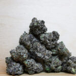 Green Valley's AAAA++ El Chapo Smalls