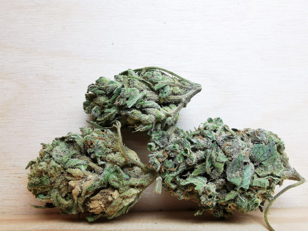 Buy Cheap Weed Online Dispensary in Vernon Wholesale, BuyWeed247