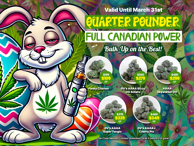 Buy Weed Online, BuyWeed247