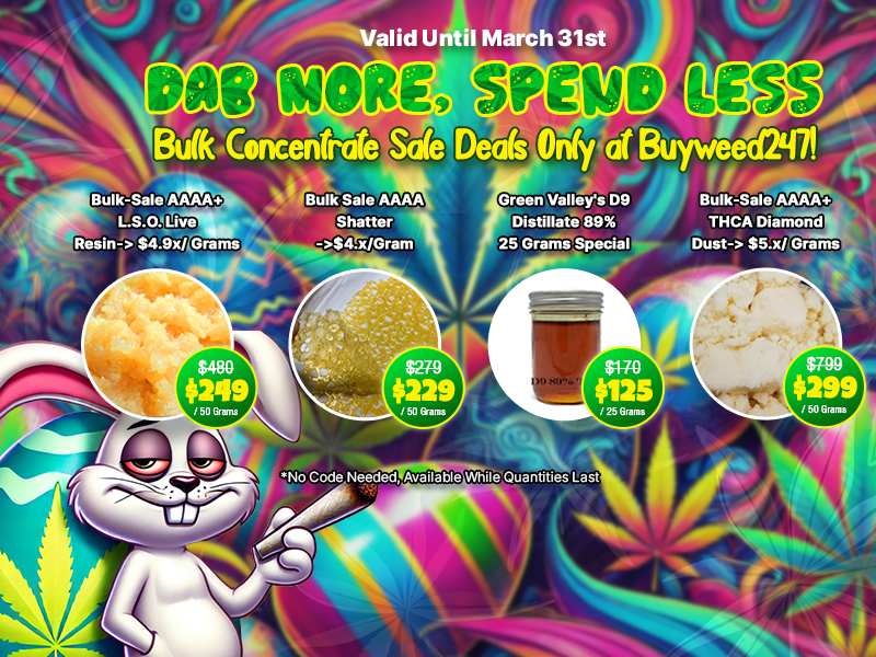 Buy Weed Online, BuyWeed247