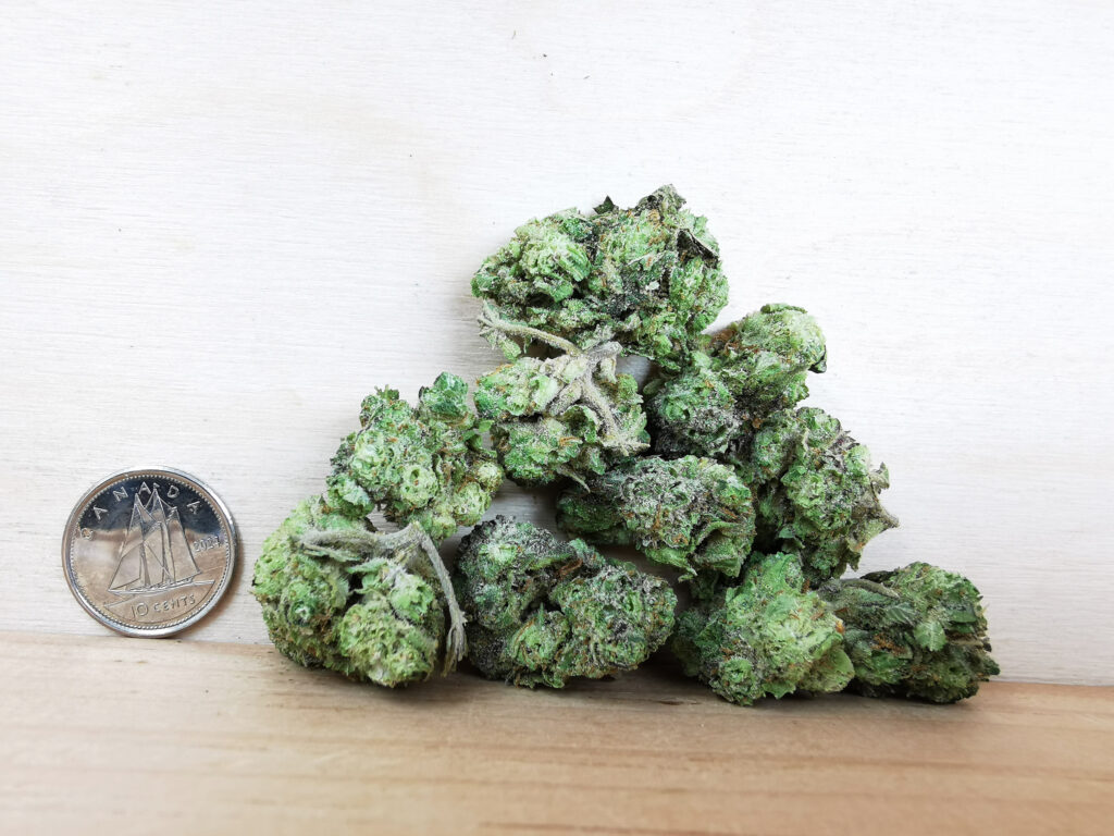 Buy Cheap Weed Online Kitimat Dispensary, BuyWeed247