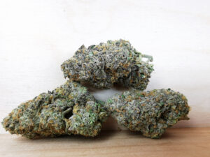 Best Sativa Weed Strains in Canada 2021, BuyWeed247