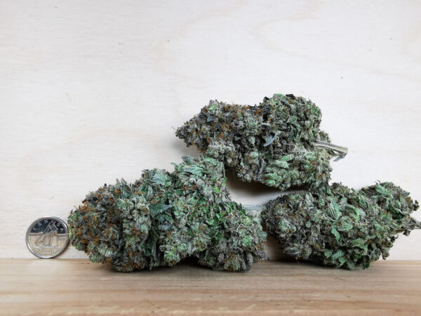 Green Valley's AAAA MK-Ultra - Image 2