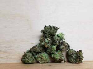 Best Sativa Weed Strains in Canada 2021, BuyWeed247