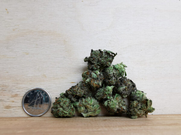 Bulk-Sale AAA+ Pink Kush Smalls - Image 2