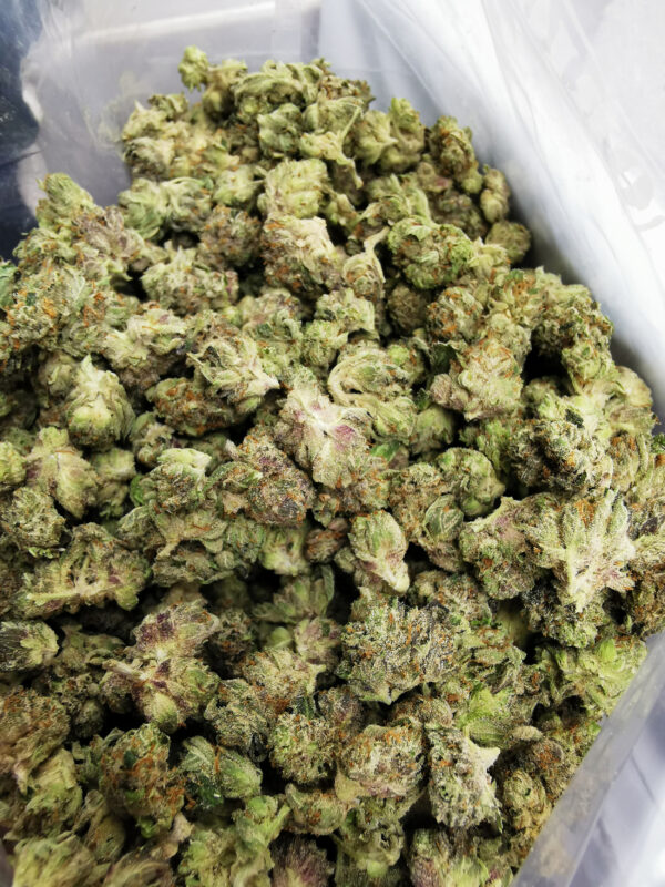 Bulk-Sale AAA+ Pink Kush Smalls - Image 3