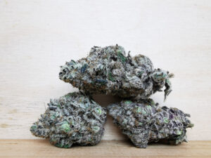 Buy Weed 247 vs. Cannawholesalers: Who Sells the Best Weed in Canada, BuyWeed247