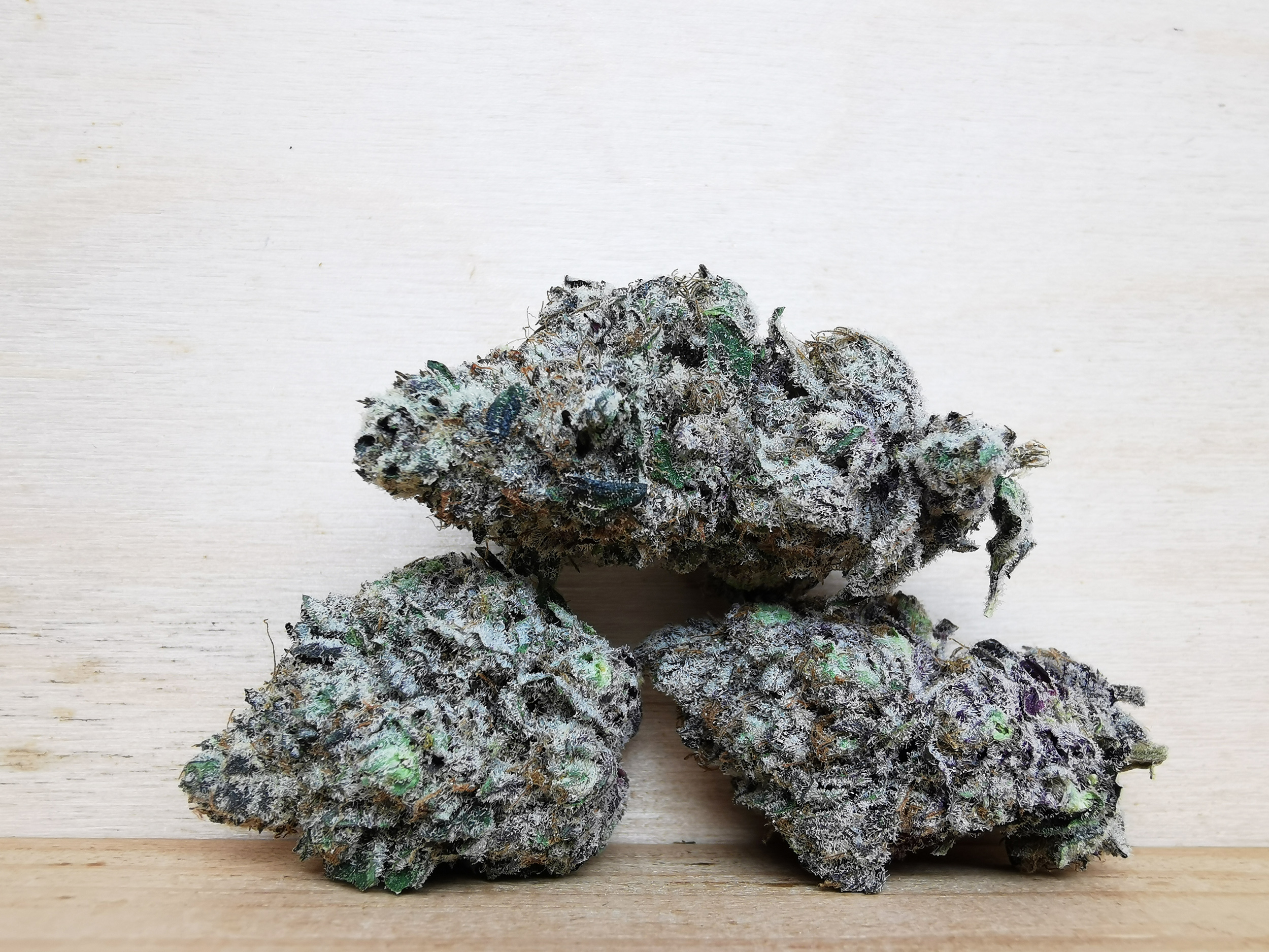 IMG_20251029_133004 Green Valley's AAAA+ Peanut Butter Rockstar - Image 1