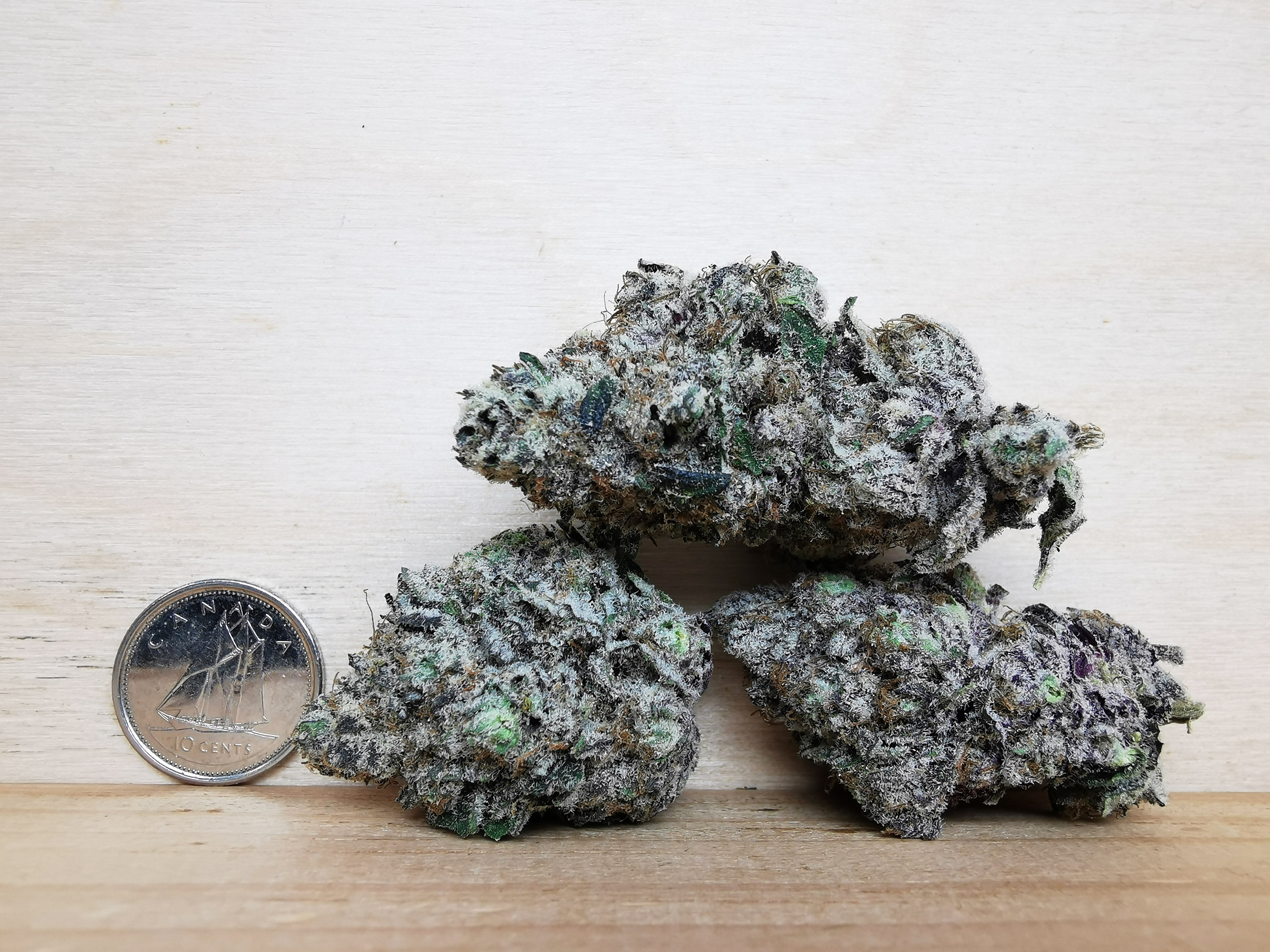 IMG_20251029_133031 Green Valley's AAAA+ Peanut Butter Rockstar - Image 2