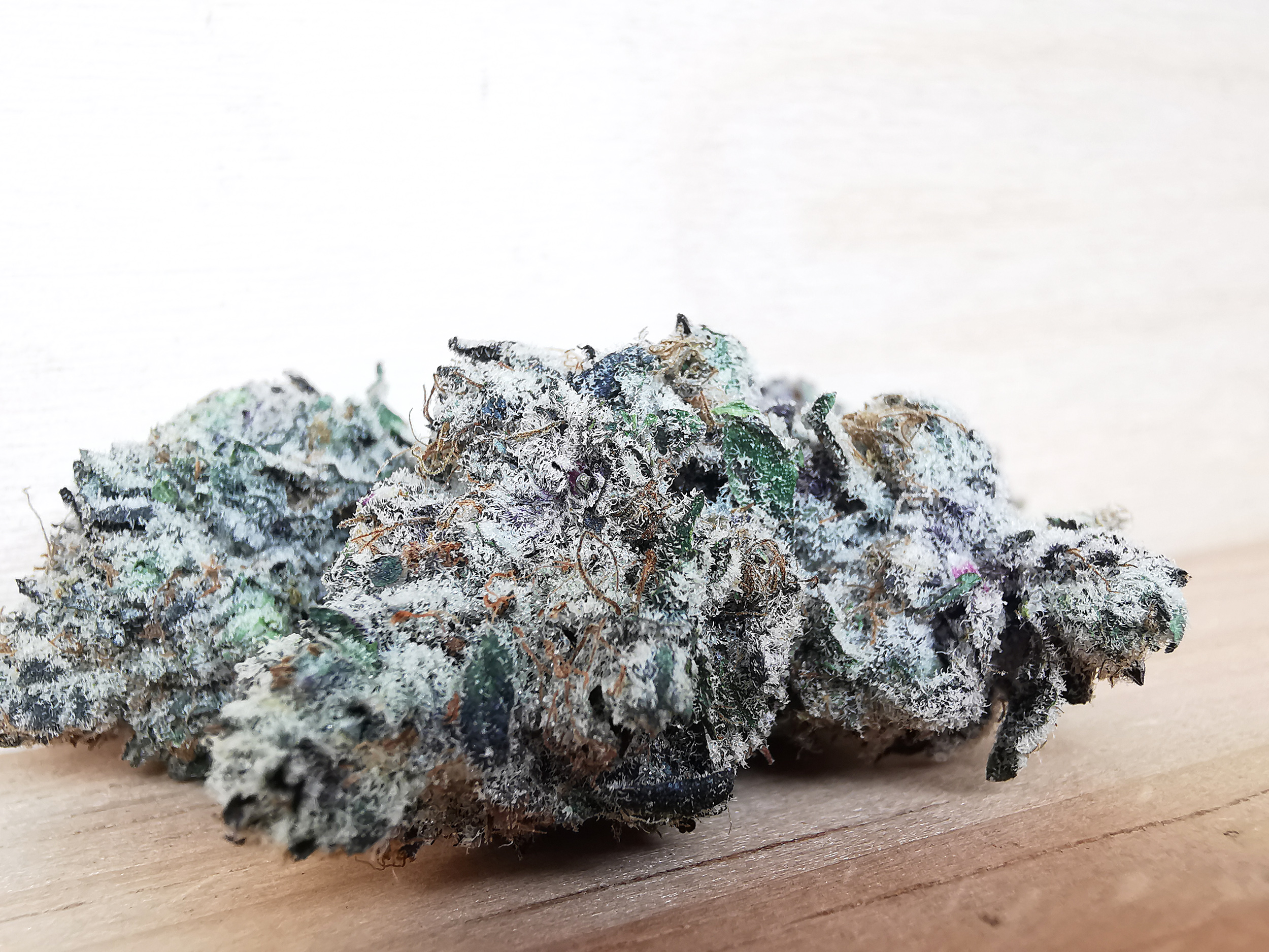 IMG_20251029_133124 Green Valley's AAAA+ Peanut Butter Rockstar - Image 4