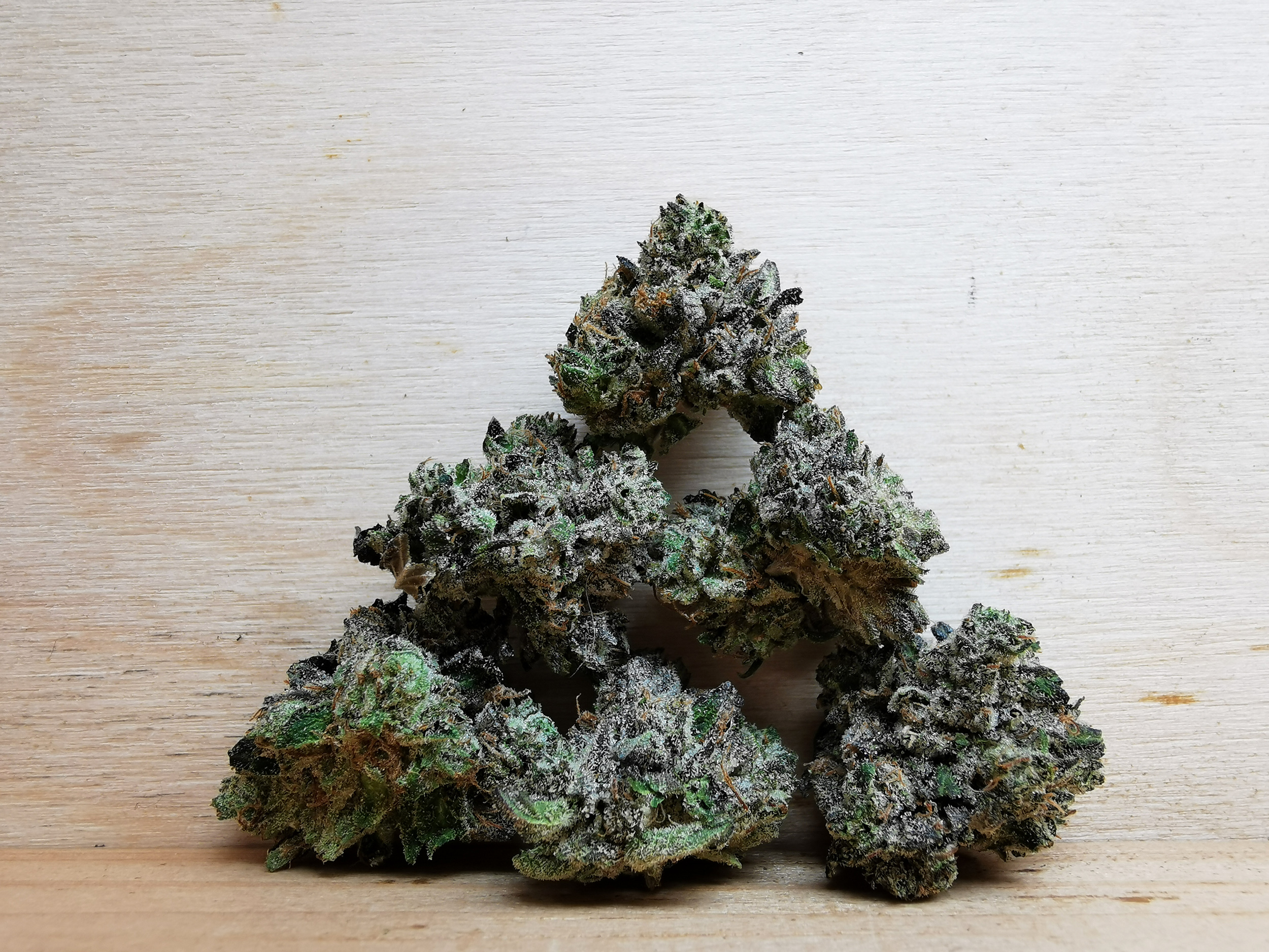 IMG_20260703_151836 Green Valley's AAAA Khalifa Kush Med. - Image 1