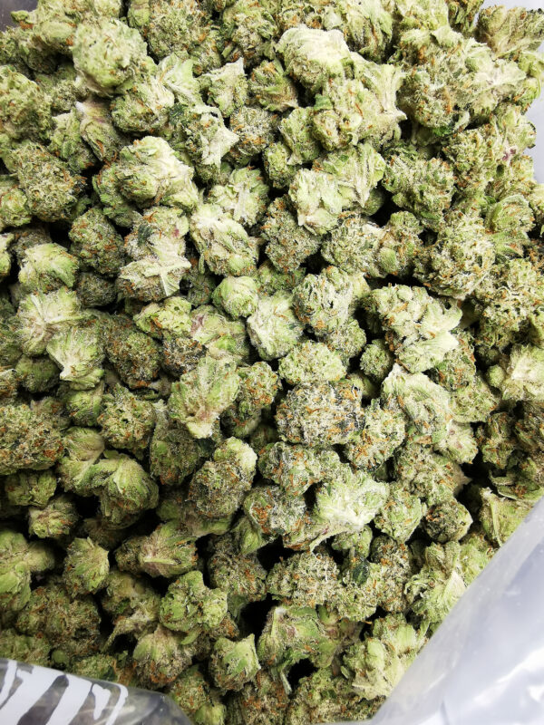 Green Valley's AAAA Rockstar Smalls - Image 3