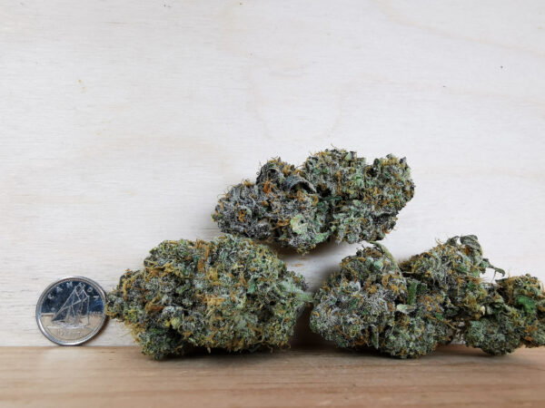 Green Valley's AAAA Triangle Kush - Image 2
